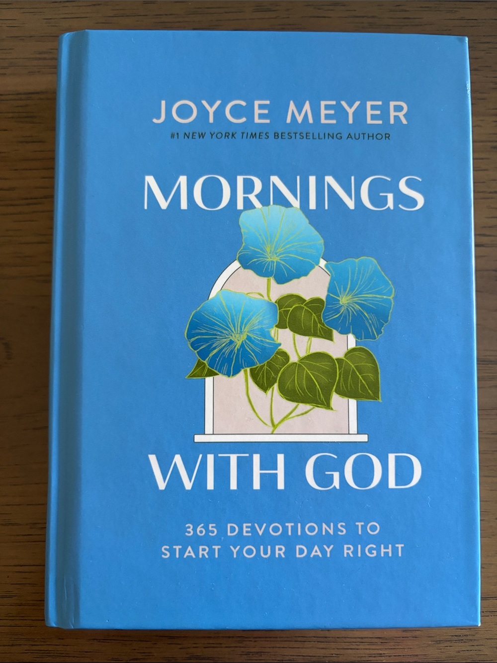 Joyce Meyer Mornings With God - Blue Hardcover Devotional